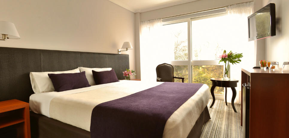 Hotel por convenio con privados: Bisonte, habitación